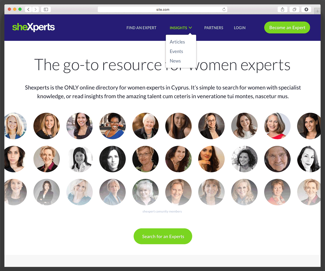 She Experts website